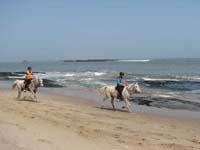 /international/2006Walvisbay/images/SeaLeg/thumbnails/racesealeg 004.jpg